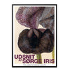Slice of Mourning Iris print black frame 