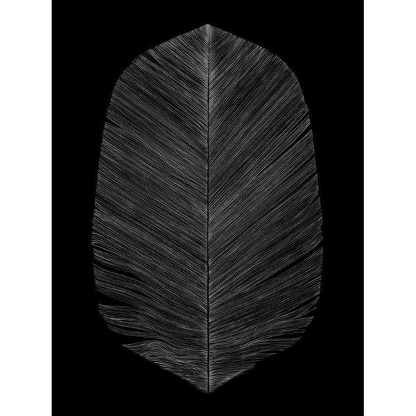 Black Feather Print (2 sizes) - Grøn + White 
