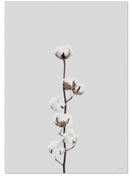 Cotton Flower Print - Scandinavian style | Nordic Design | Grøn + White 