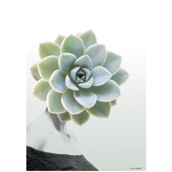 Succulent #1 | Print - Grøn + White 