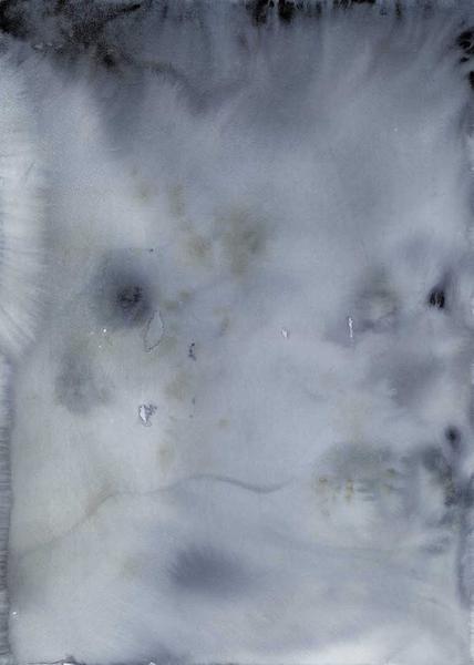 Seabed Print - Grøn + White 